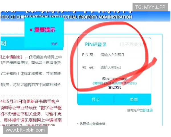 BBIN在线登录入口常见问题解答，帮助用户解决登录过程中遇到的困扰