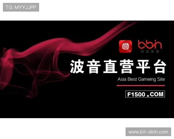 评估bbin直营平台是否优质的全面标准与用户体验提升建议